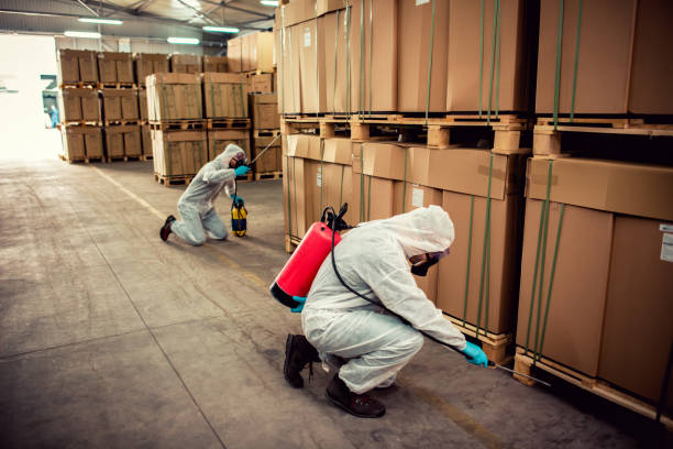 Best Best Pest Control Companies  in Boling, TX