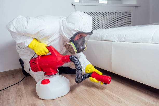 Best Pest Removal Services  in Boling, TX