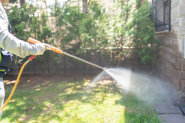 Insect Control in Boling, TX
