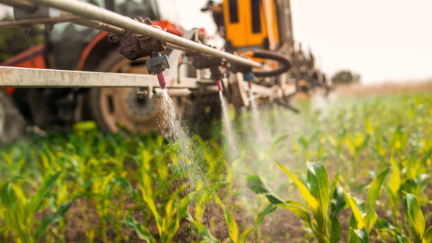 Best Wildlife Control Services  in Boling, TX